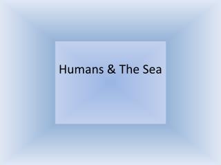 Humans &amp; The Sea