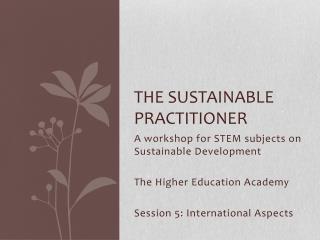 The Sustainable practitioner