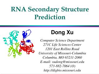 RNA Secondary Structure Prediction