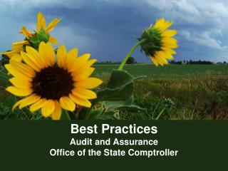 Best Practices Audit and Assurance Office of the State Comptroller