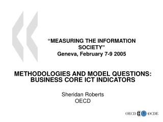 “MEASURING THE INFORMATION SOCIETY” Geneva, February 7-9 2005