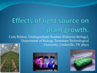 Effects of light source on plant growth.