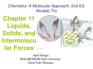 Chapter 11 Liquids, Solids, and Intermolecular Forces