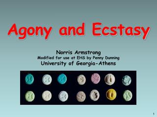 Agony and Ecstasy Norris Armstrong Modified for use at EHS by Penny Dunning