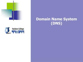 Domain Name System (DNS)