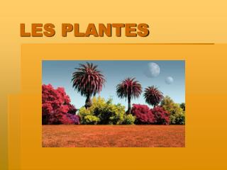 LES PLANTES