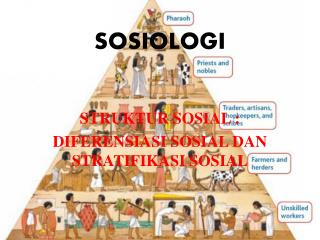 SOSIOLOGI