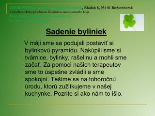 Sadenie byliniek