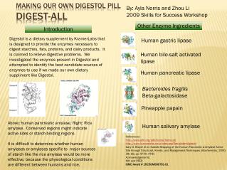 Making our own digestol pill digest-all