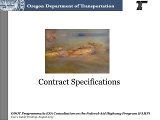 Contract Specifications
