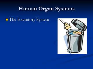 Human Organ Systems