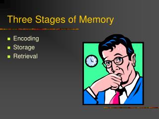 Three Stages of Memory