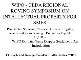 WIPO Domain Name Dispute Settlement: An Introduction