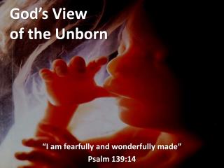 God’s View of the Unborn