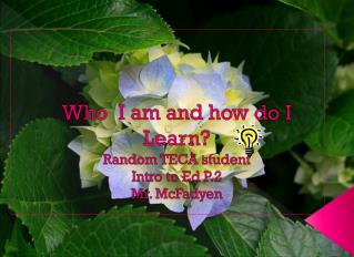 Who I am and how do I Learn? Random TECA student Intro to Ed P.2 Mr. McFadyen