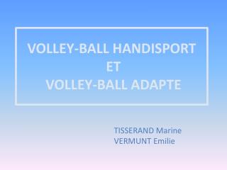 VOLLEY-BALL HANDISPORT ET VOLLEY-BALL ADAPTE
