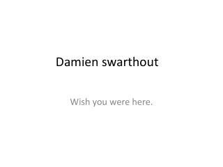 Damien swarthout