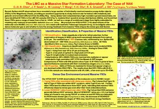 The LMC as a Massive Star Formation Laboratory: The Case of N44
