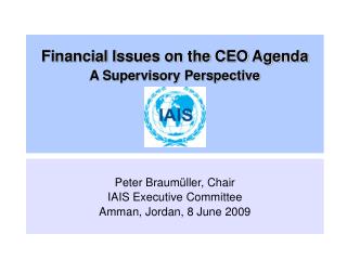 Financial Issues on the CEO Agenda A Supervisory Perspective