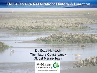 TNC’s Bivalve Restoration: History &amp; Direction