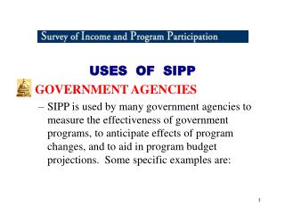 USES OF SIPP GOVERNMENT AGENCIES