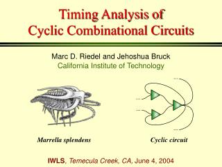 Timing Analysis of Cyclic Combinational Circuits