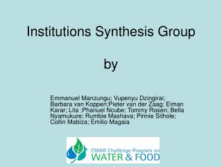 Institutions Synthesis Group by