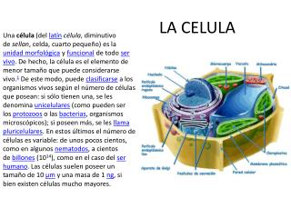 LA CELULA