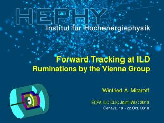 Forward Tracking at ILD Ruminations by the Vienna Group