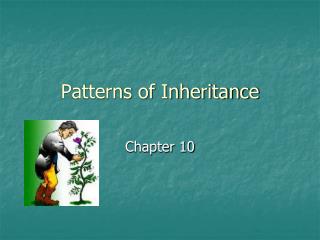 Patterns of Inheritance