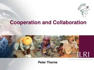 Cooperation and Collaboration