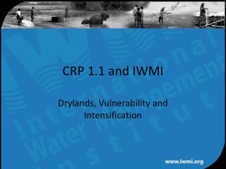 CRP 1.1 and IWMI