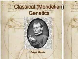 Classical (Mendelian) Genetics