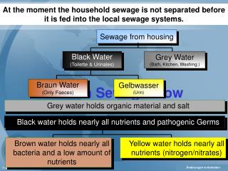 Human Sewage Flow