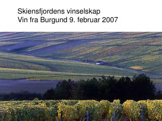 Skiensfjordens vinselskap Vin fra Burgund 9. februar 2007