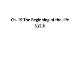 Ch. 19 The Beginning of the Life Cycle
