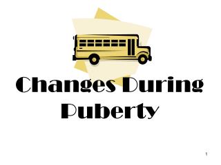Changes During Puberty