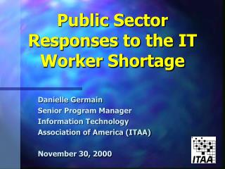 Public Sector Responses to the IT Worker Shortage