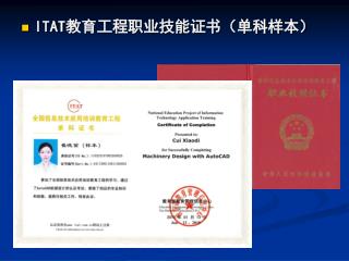 ITAT 教育工程职业技能证书（单科样本）