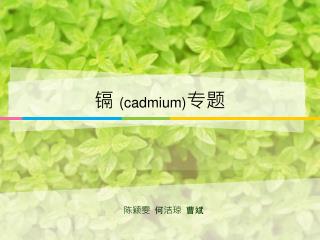 镉 (cadmium) 专题