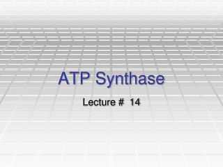 ATP Synthase