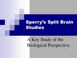 Sperry’s Split Brain Studies