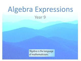 Algebra Expressions