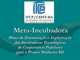 Meta-Incubadora