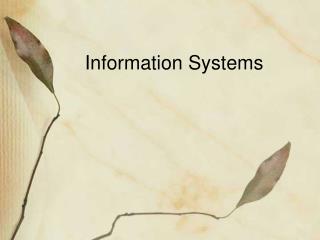 Information Systems