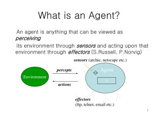 What is an Agent?