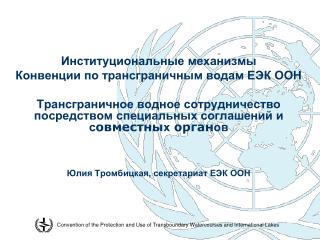 Институциональные механизмы Конвенции по трансграничным водам ЕЭК ООН