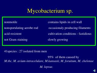 Mycobacterium sp.