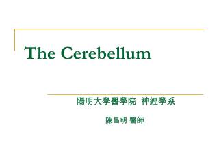 The Cerebellum