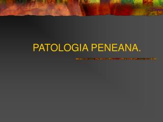 PATOLOGIA PENEANA.